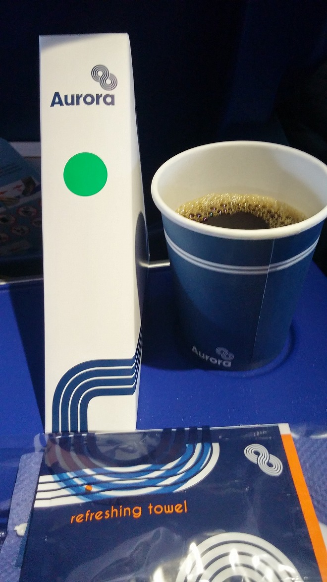 ウラジオストク国際空港 ウラジオストク国際空港
